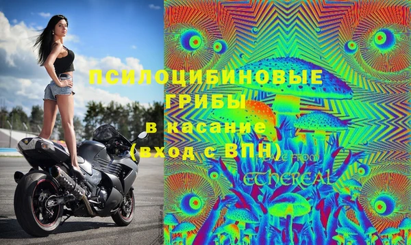 гидропоника Армянск